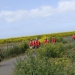 ILE DE RE 100 KM     26 04 2014